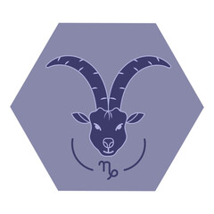 Capricorn Horoscope Icon