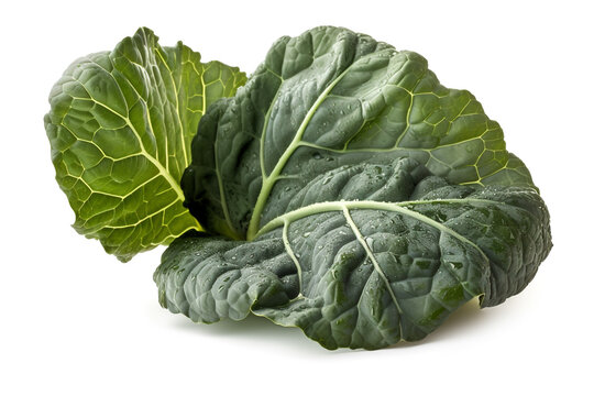 1+ Thousand Collard Greens Field Royalty-Free Images, Stock Photos &  Pictures