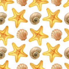 Orange starfish, sea scallop, seashell. Inhabitants of the seabed. Watercolor seamless pattern on white background. For summer card making, wrapping paper, wallpaper, fabric, postcards design