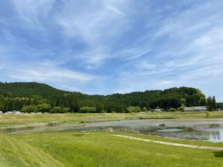 緑の多い公園