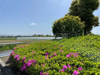 緑の多い公園