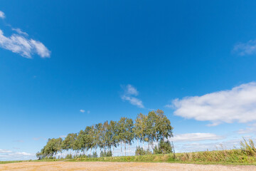 Obraz premium 北海道 美瑛の風景