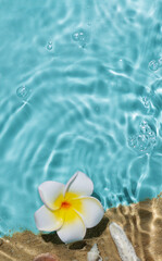 Sea water, sand and seashells background. Summer beach. Summer background.