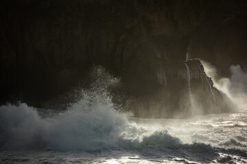 Washington Coastal Beach Landscape PNW