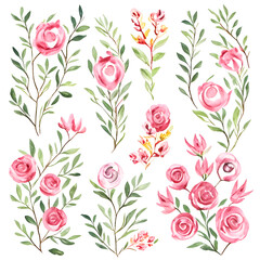 Roses decorative watercolor