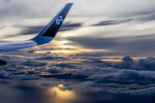 Air New Zealand Aircraft Wing in the sky at sunset.