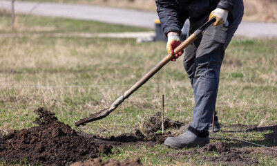 A man with a shovel digs the ground in the spring garden