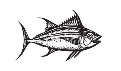 Tuna hand drawn Illustration, vector.