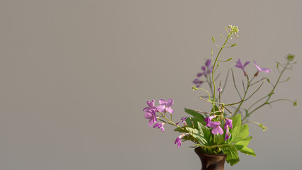 Flower composition pink flowers. A delicate bouquet of pink flowers on a gray pastel background. The concept of congratulations, romance. A postcard for Valentine's Day, Mother's Day. Mockup, Banner