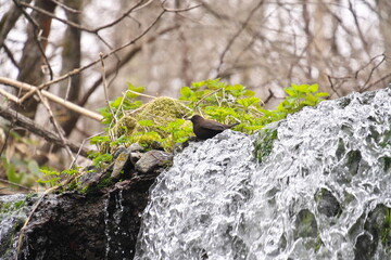 Hokkaido Nishibetsu River System Kotonnai River, Nijibetsu Otaki and Kawagarasu