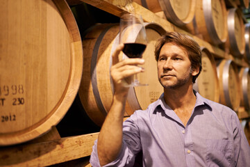 Wine, tasting and a man in the cellar of a distillery on a farm for the production or fermentation of alcohol. Glass, industry and barrel with a male farmer drinking a beverage for quality control
