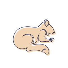 squirrel animal icon