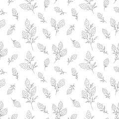 Muscari grape hyacinth bloom seamless pattern black line. Flower mid spring delicate outline print wild plant wild meadow herb floral branch fabric textile wallpaper cover wrap print white background
