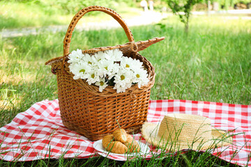 Spending time in nature - picnic, accessories for picnic