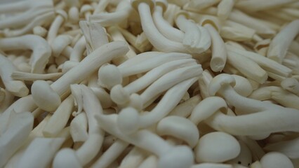 White Raw Mushroom Background 