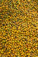 Fresh oranges, Elevated view of a pile of healthy oranges - stock photo