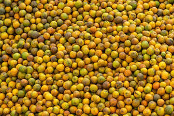 Fresh oranges, Elevated view of a pile of healthy oranges - stock photo