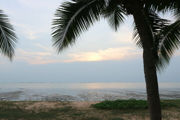 beach, sea and sun or sea background or sunset