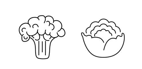 vegetables icon, vegetables. Mega collection of isolated vegetable symbols. Thin line icons - salad tomatoes carrots broccoli cabbage peppers spinach zucchini herbs and etc Vector