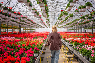 Young adult female gardener walking in a greenhouse with blooming flowers, back view