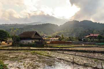 the countryside around Ninh Binh, Vietnam