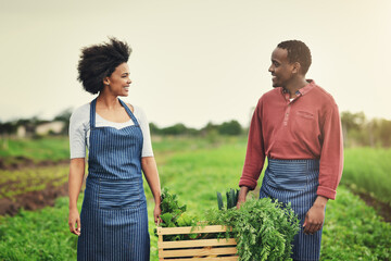 We get to enjoy healthy, tasty food fresh from our garden. a young farm couple carrying a crate of...