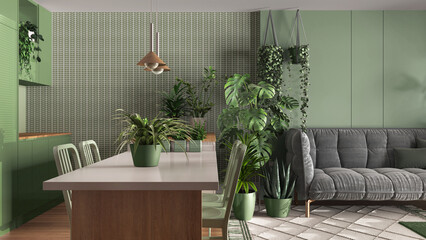 Urban jungle, kitchen with island and living room in white and green tones. Sofa , carpet and houseplants. Home garden interior design. Biophilia concept