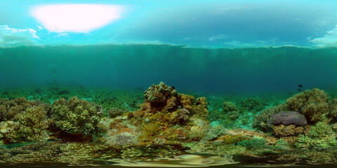 Naklejka na ściany i meble Tropical Seascape Underwater Life. Tropical underwater sea fish. Philippines. 360 panorama VR