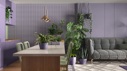 Urban jungle, kitchen with island and living room in white and purple tones. Sofa , carpet and houseplants. Home garden interior design. Biophilia concept