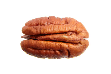 Peeled pecan nut isolated on a white background, top view. Single pecan seed half