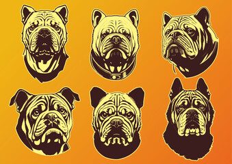 bulldog face sketch vector illustration graphic design hand drawn