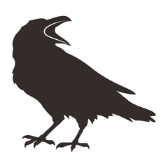 crow on a white background