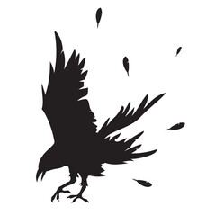 crow vector