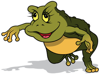 Green Frog with a Yellow Belly Dancing on the Ground