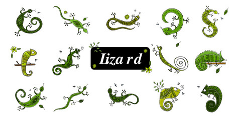 Lizard characters, jungle animal. Chameleon icons set for your design