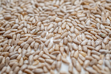 A pile of unroasted, cleaned sunflower seeds