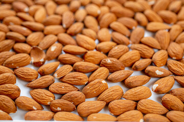 Bunch of unroasted Almond nuts