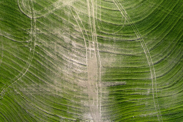 Drawings left behind after working the land in Tuscany Italy