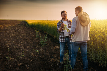 Two farmers standing on the field and checking the health of the plant.