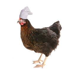 Chicken wearing a chefs hat studio cutout