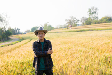 Naklejka na ściany i meble Asian man inspecting wheat on barley field background, happy agronomist farmer paying attention to his crops for a bountiful harvest