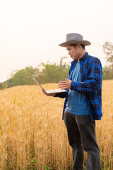 Smart asian farmer using modern digital technology using tablet in barley field A farmer monitors a grain field and sends data to the cloud from a tablet. farming concept