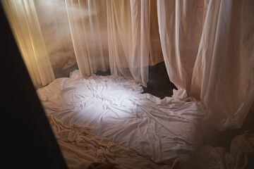 Fototapeta na wymiar Light, soft transparent curtains in room. Canopy around bed with gentle light and blurring in evening. Boudoir. Concept of comfort in house and bedroom. Location and background for photo shoot