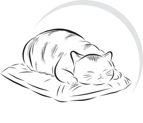 Illustration of the cat is sleeping on the cushion with circle on empty background.