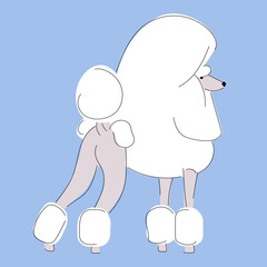 vector illustration decorative picture with drawn large fluffy royal poodle, postcard with a beautiful dog on blue background