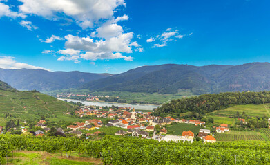 Fototapeta na wymiar View into the Wachau valley with Danube river. Austria.