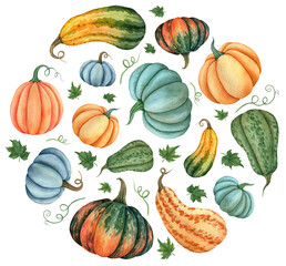Watercolor label in the form of a vegetable circle with the image of pumpkins for the design of signage, agribusiness logo, banner with organic food, healthy brand labels. Hand-drawn illustration for - obrazy, fototapety, plakaty