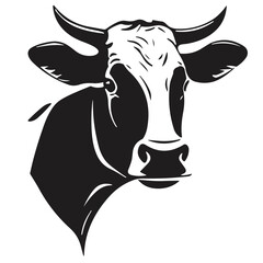 black and white cow