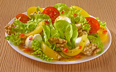 Mischsalat mit Paprika Tomaten Mozzarella und Walnuessen