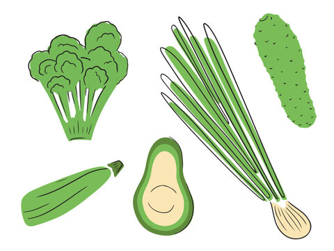 Collection set of green vegetables with lines: avocado, cucumber, spring onion, zuccini, broccoli isolated on white background. Hand drawn vector sketch illustration in cartoon doodle style. salad.